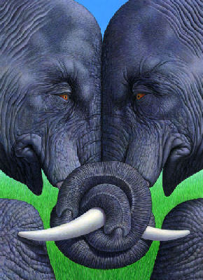 elephants tangling
