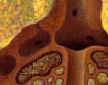 termite mound detail