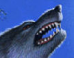 werewolf detail