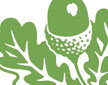 logo for Acorn Homeopathy