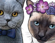 detail of cats logo image