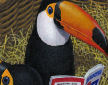 Guinness homing toucans detail